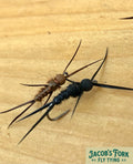 Winter Stonefly  Nymph