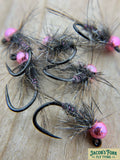 Jakes Pink Squirrel