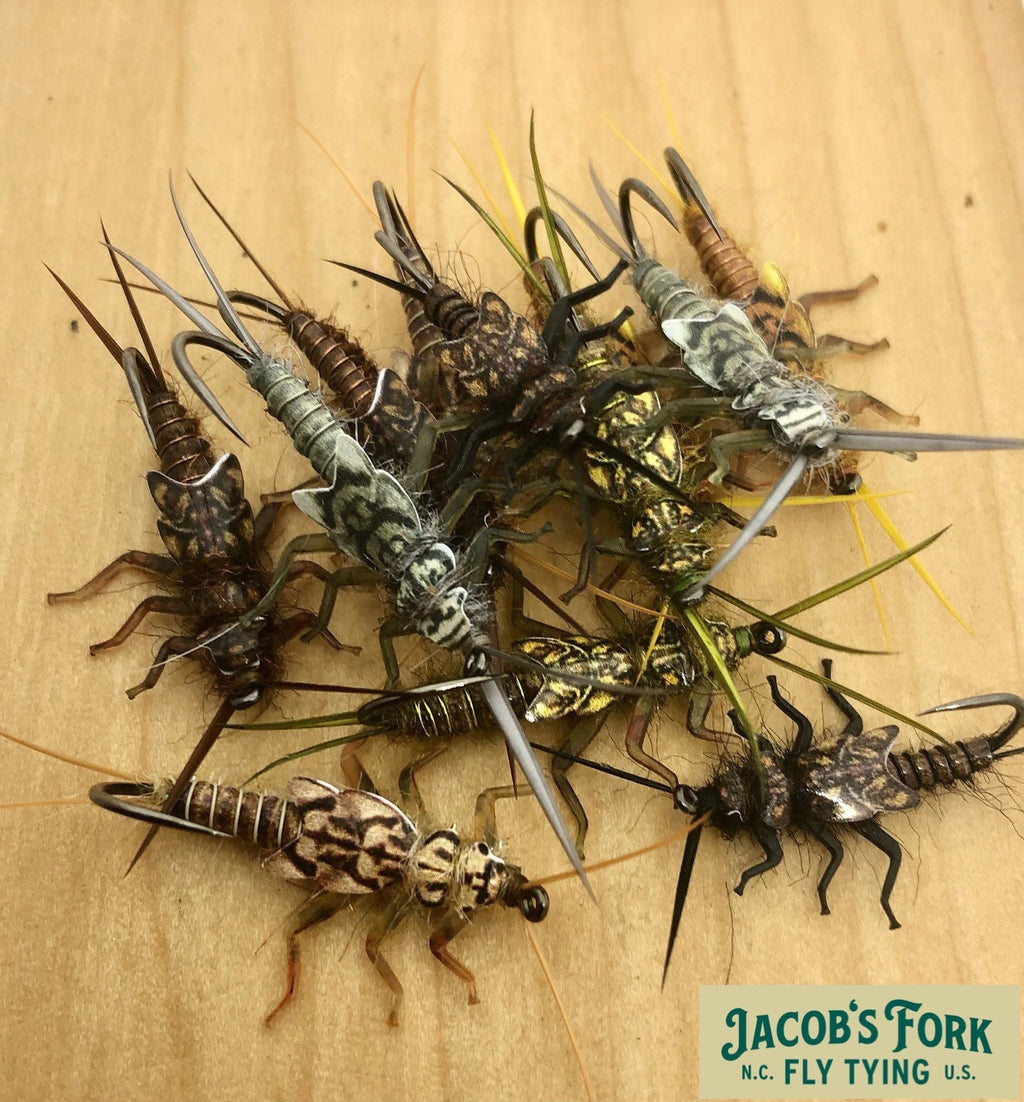 Realistic Style Stonefly Nymphs