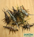 Realistic Style Stonefly Nymphs