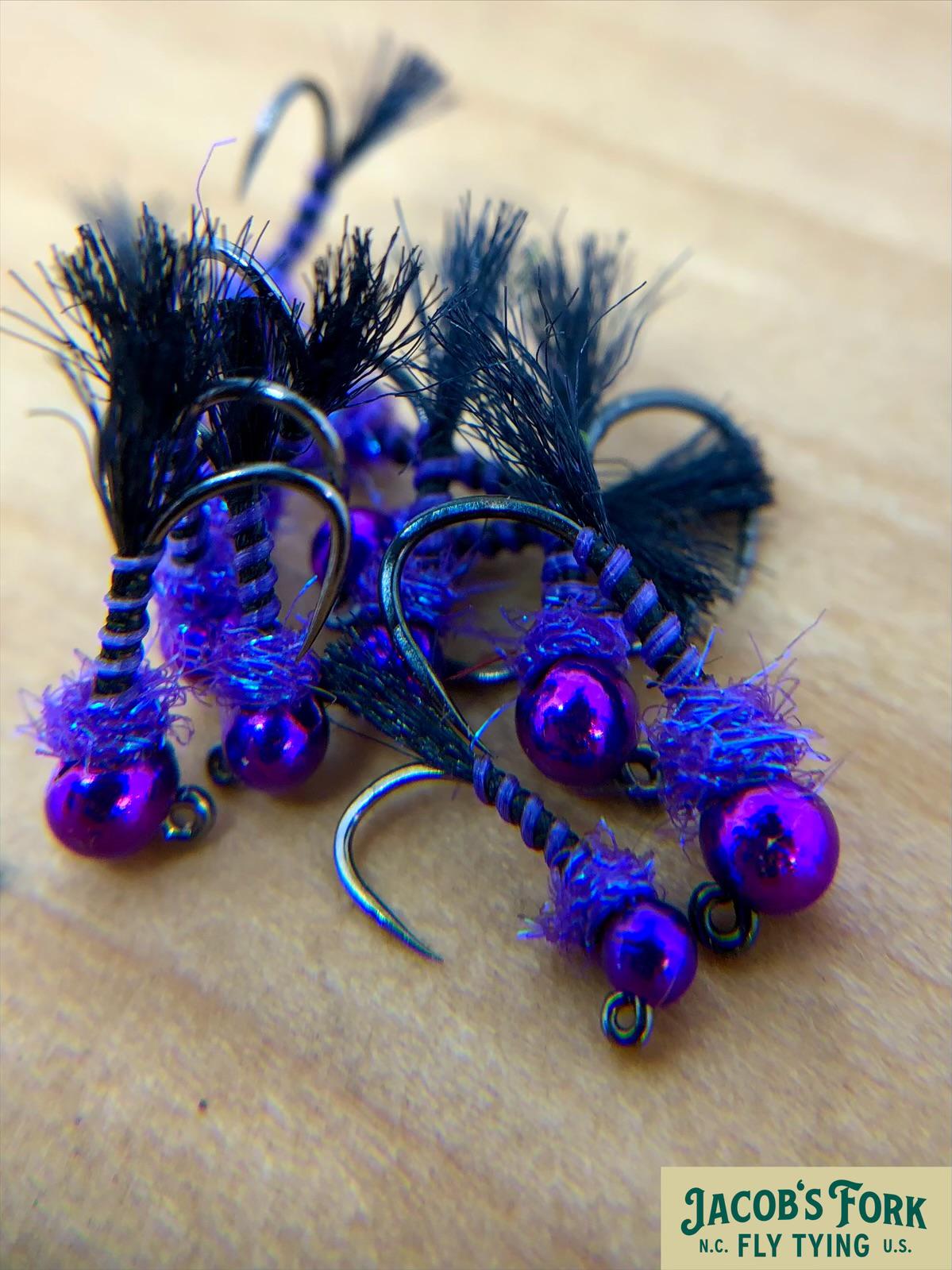 Jake’s Zola Bug