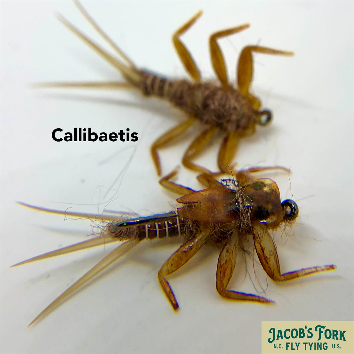 Realistic Style Mayfly Nymphs
