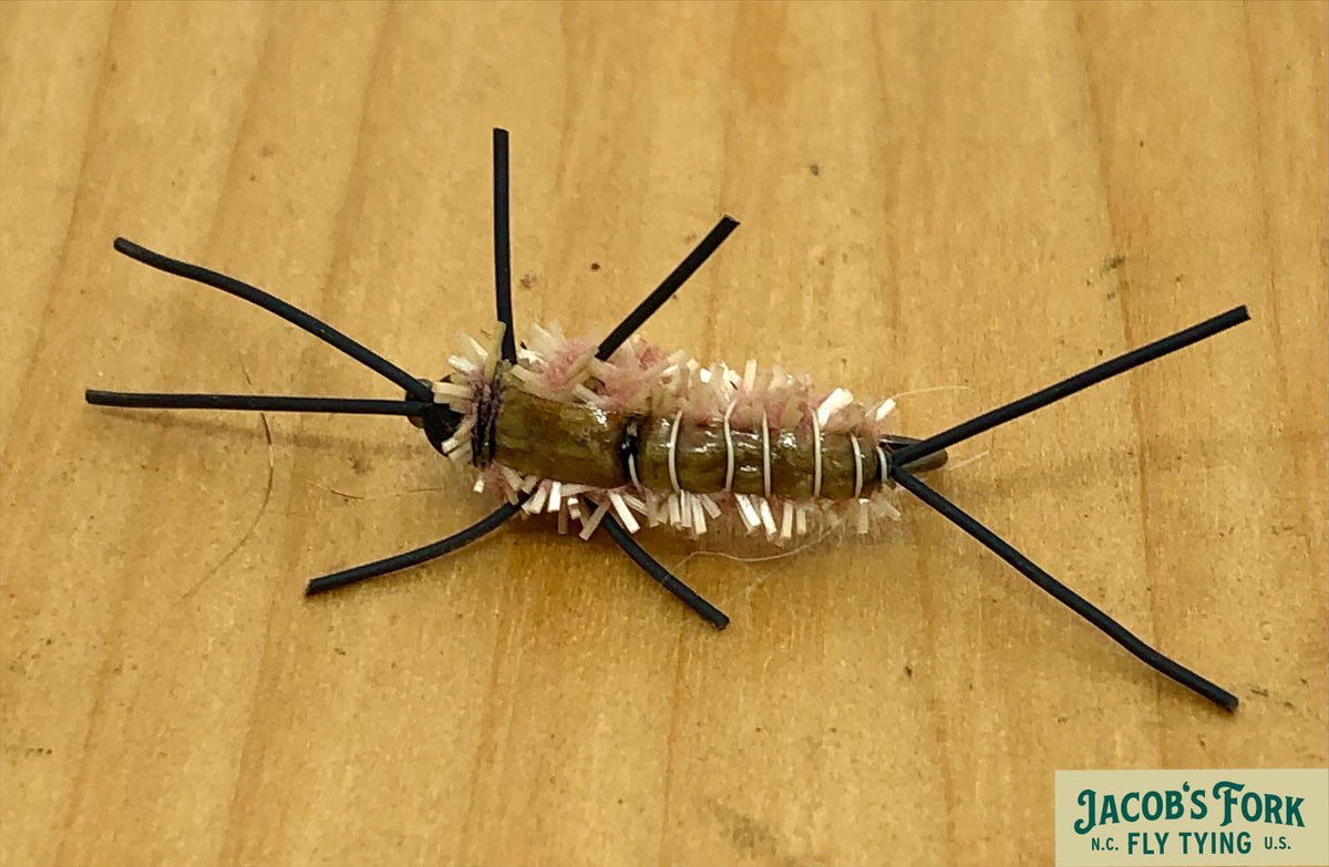 Logan’s Bridge Stonefly
