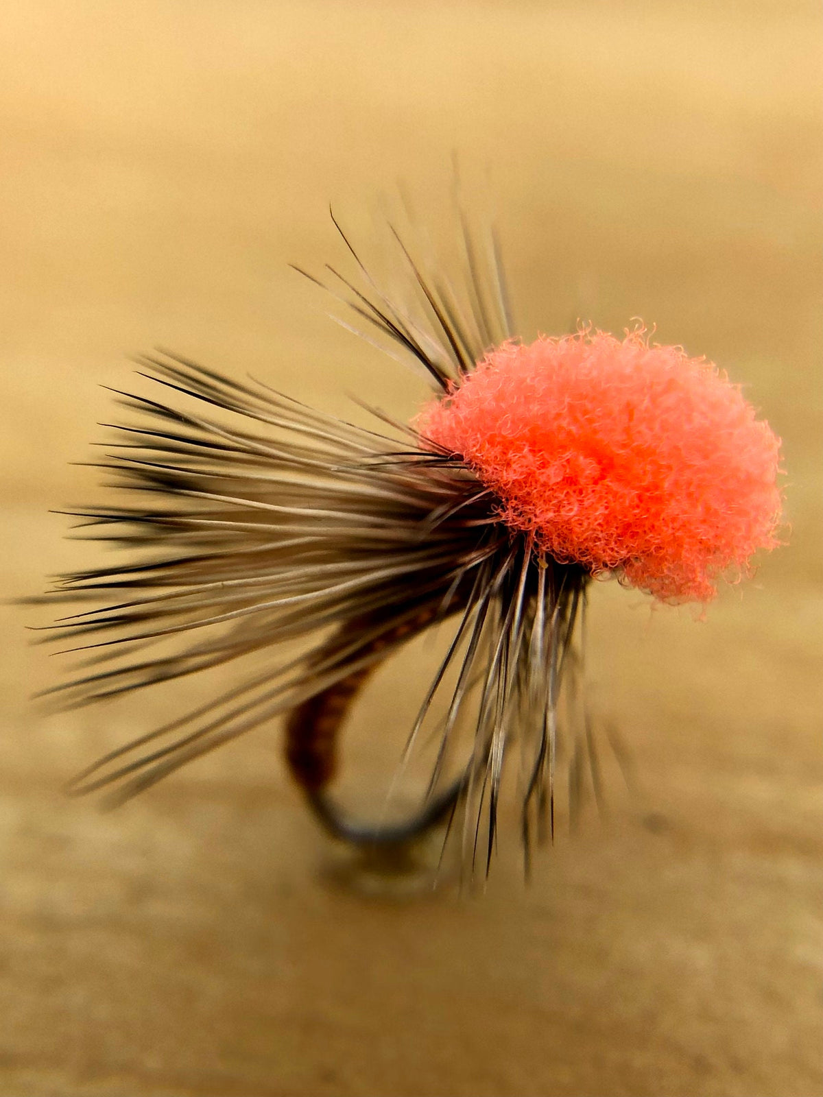 Clown Shoe Caddis