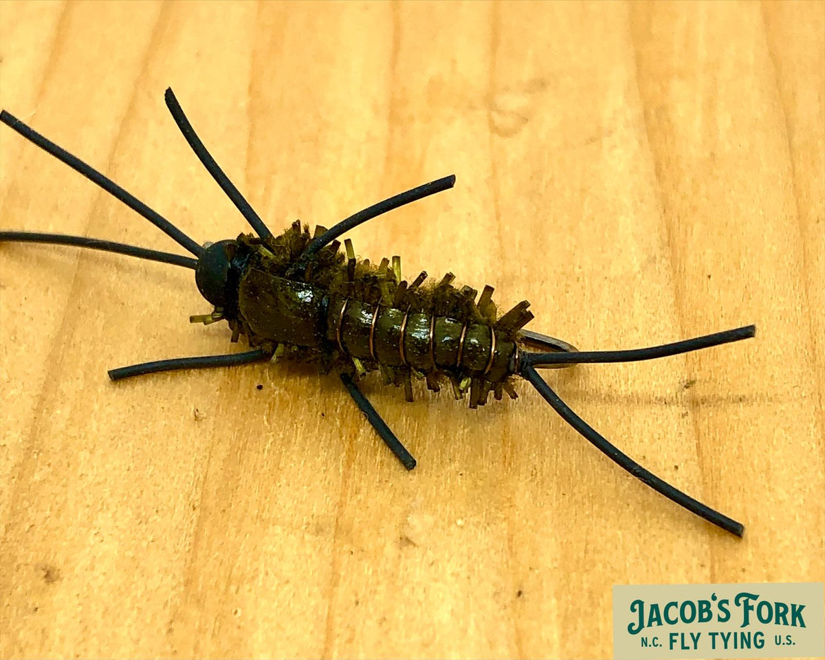 Logan’s Bridge Stonefly