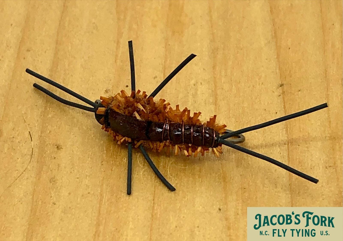 Logan’s Bridge Stonefly