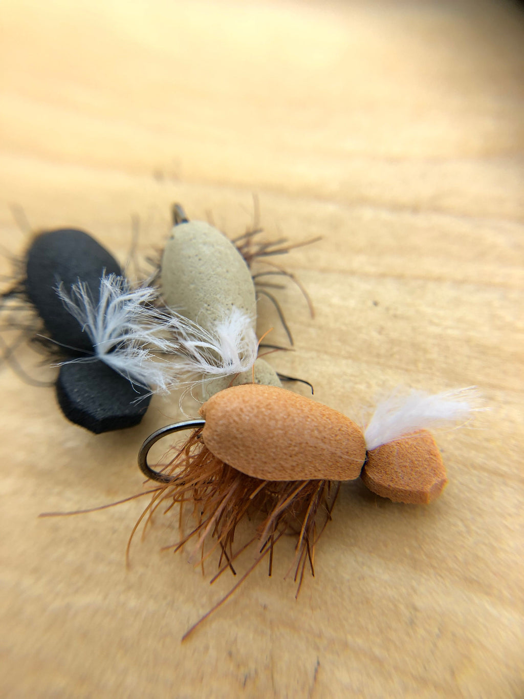 Jake’s Beetle