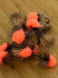 Clown Shoe Caddis