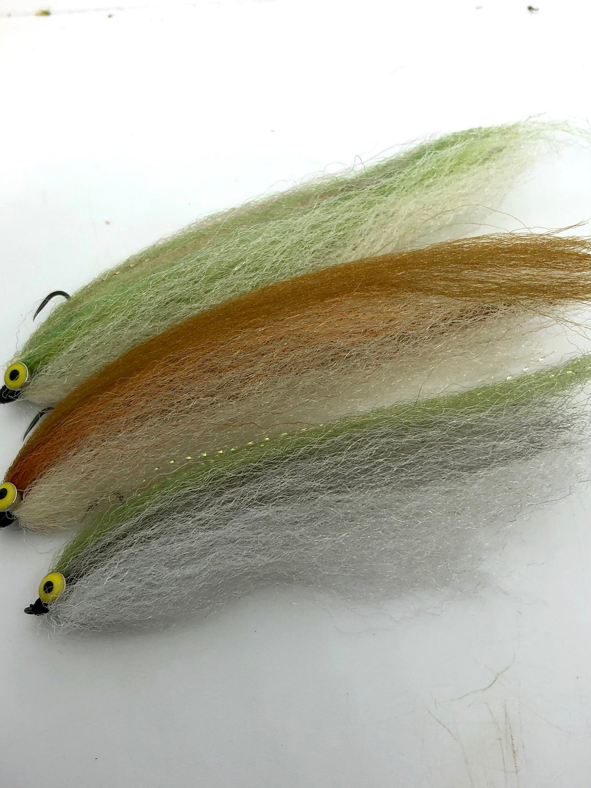 Congo Minnows